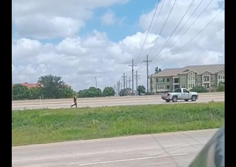 Natural Selection At Work! Watch This Lubbock Man Jog On Loop 289