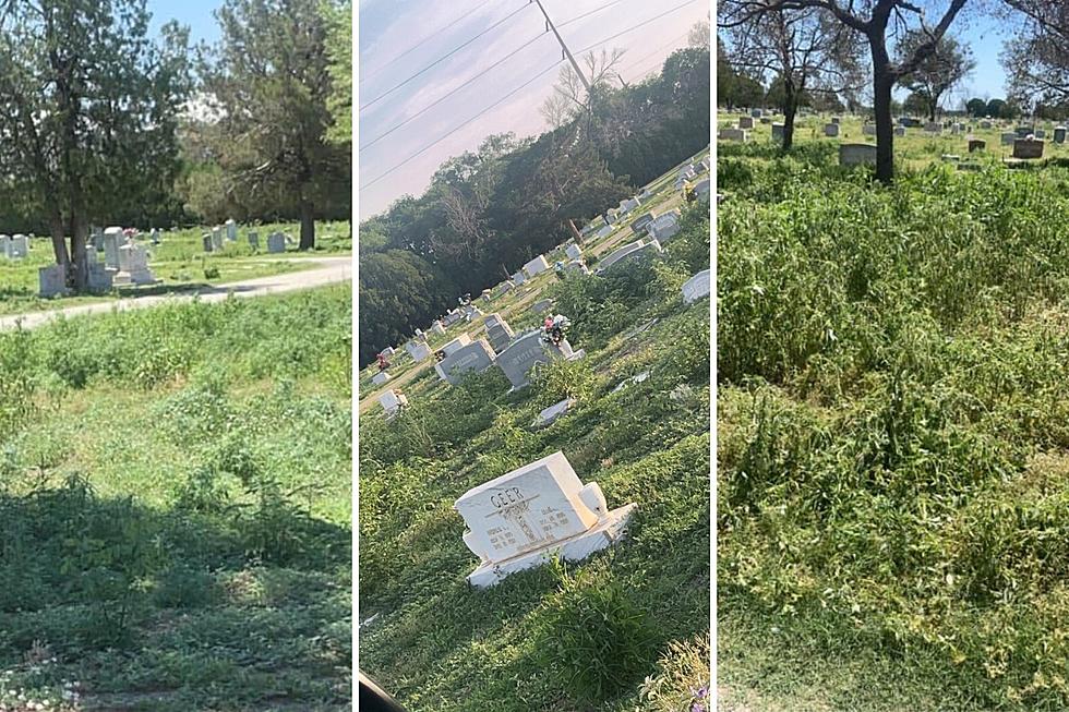Father&#8217;s Day Despair: Visitors Enraged by Neglected Texas Cemetery&#8217;s Distressing Condition