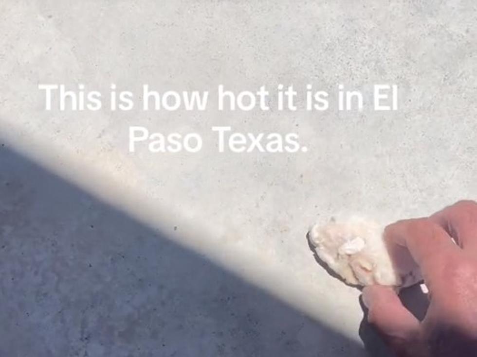 [WATCH] Is It Really Hot Enough To Cook Chicken On The Ground In El Paso?