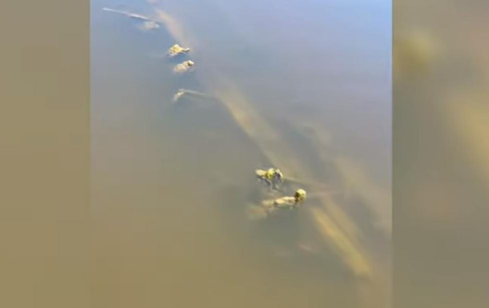 Texas Drought Reveals Sunken Ship At The Bottom Of Neches River