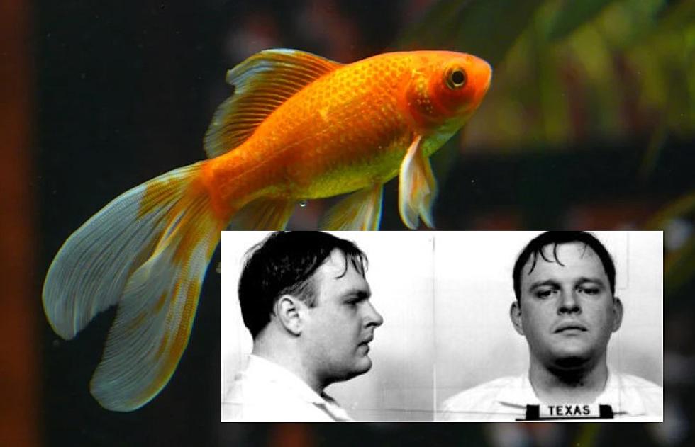 Texas Death Row: Man Slayed Family & Was Nearly Fed To Goldfish