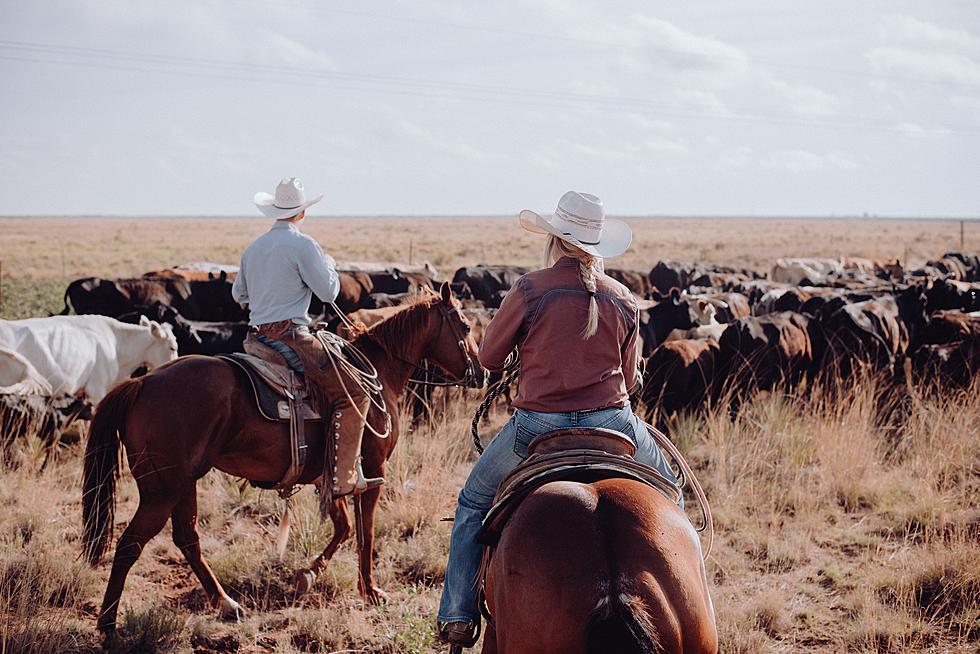 Is It Legal In Texas To Drink While Riding A Horse?