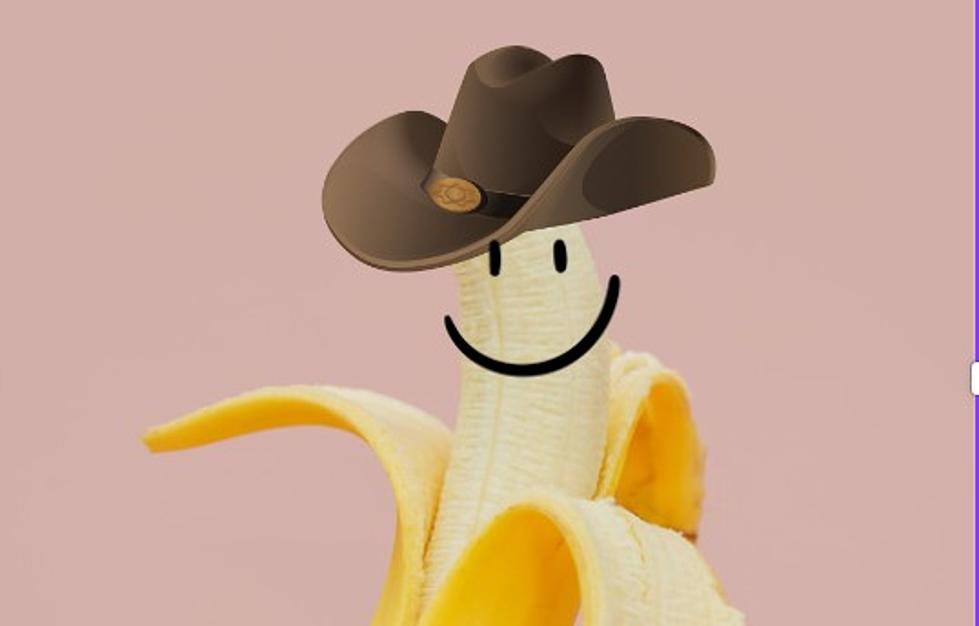 Slaton Banana Pudding Fest Huge Success – And Some Ideas For 2024