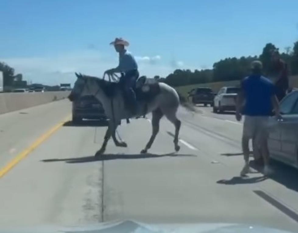 This Might Be The Most ‘Texas’ Video On The Internet Right Now