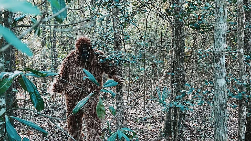 Texas Supernatural: The East Texas Wooly Booger