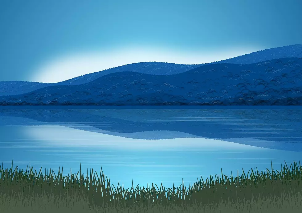 Image by Almeida from Pixabay