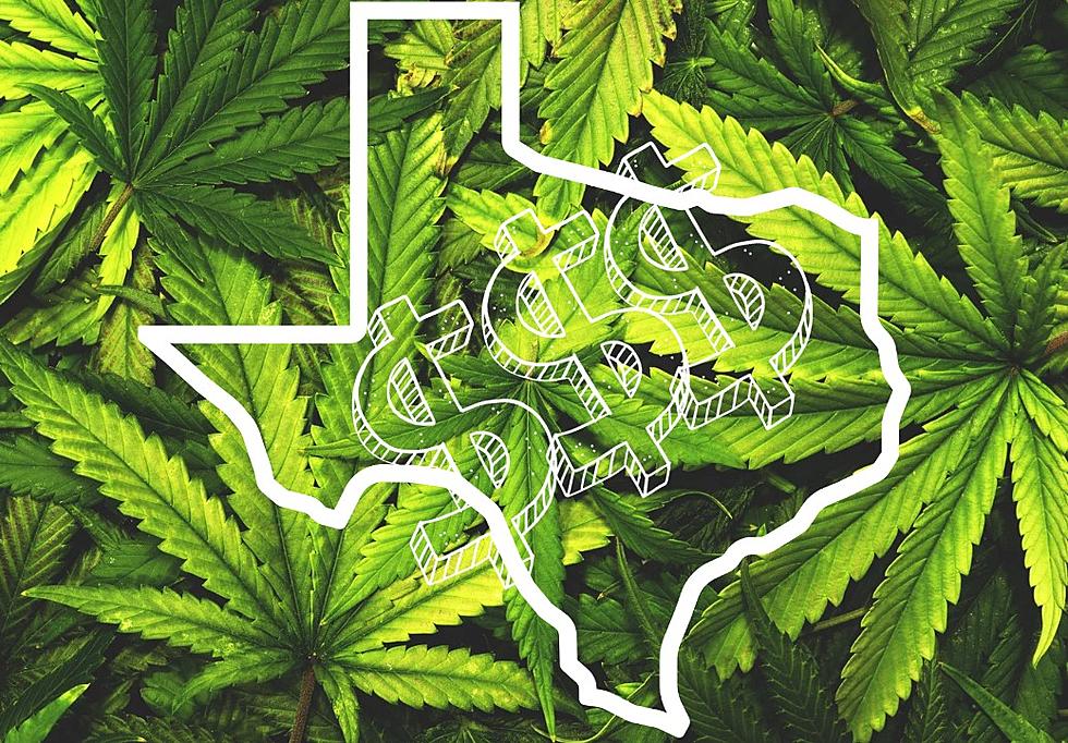 The High Cost Of Cannabis In Texas: How Much We Spend & Lose