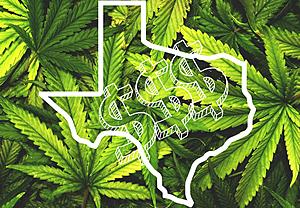 The High Cost Of Cannabis In Texas: How Much We Spend & Lose