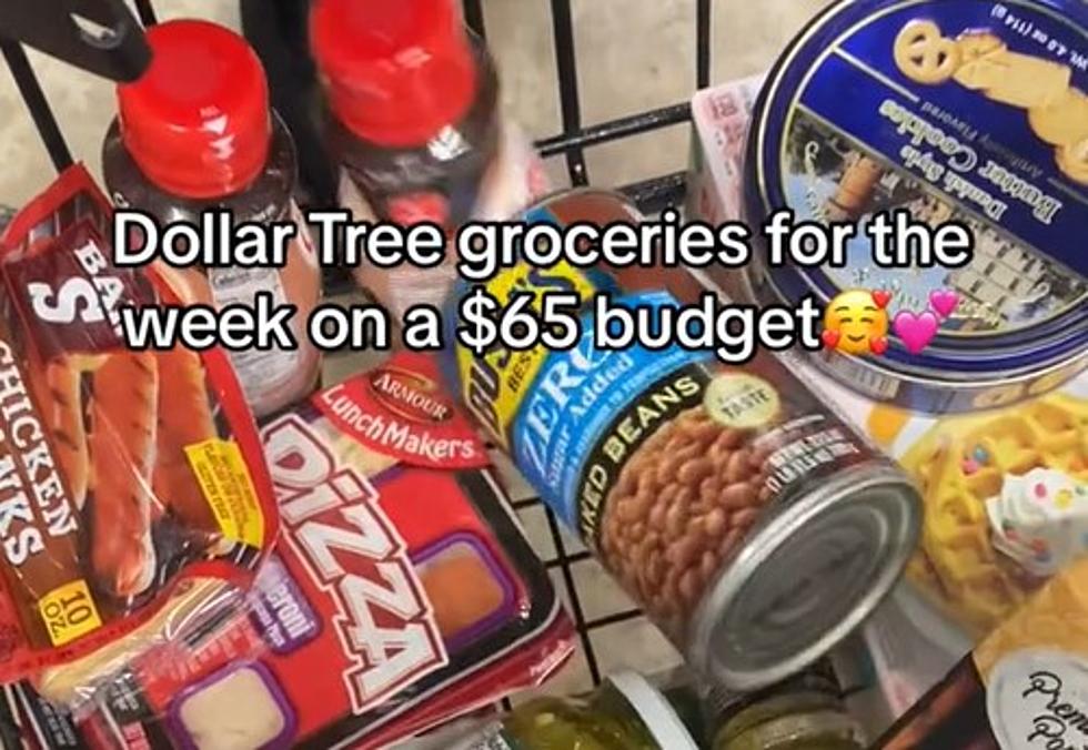 [WATCH] Full Grocery Run From Dollar Tree Doesn’t Look That Bad
