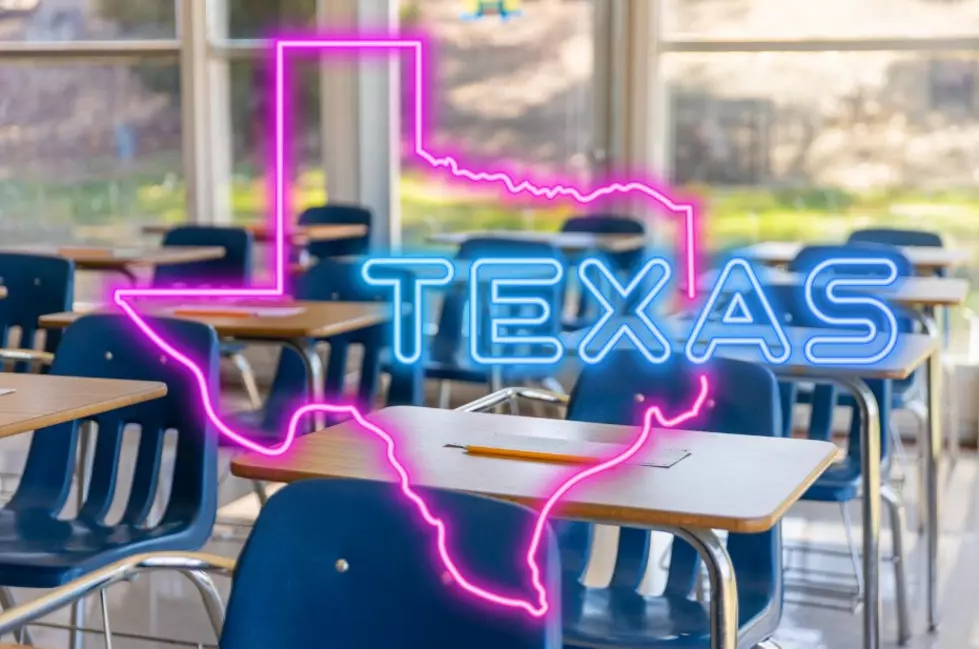 Real Smarts: Texans Reveal What Should Really Be Taught In Public School