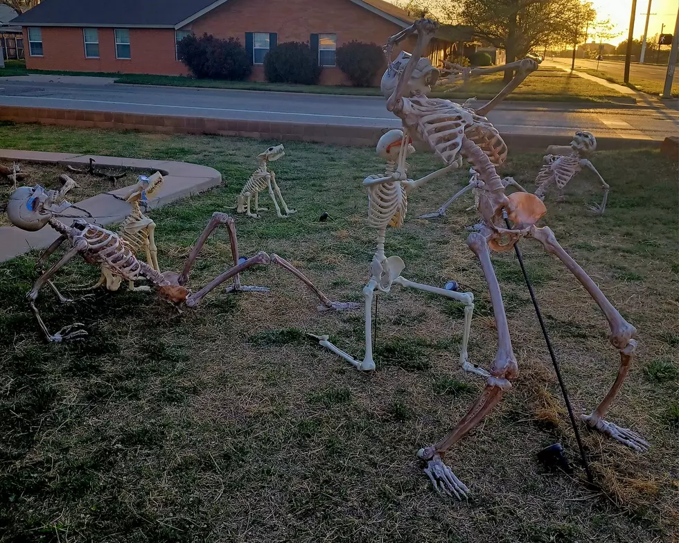 Lubbock Skeleton House Celebrates The Eclipse With Epic Display