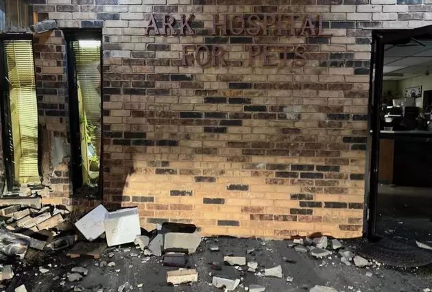 Lubbock&#8217;s Ark Animal Hospital Suffers Devastating Hit and Run Accident