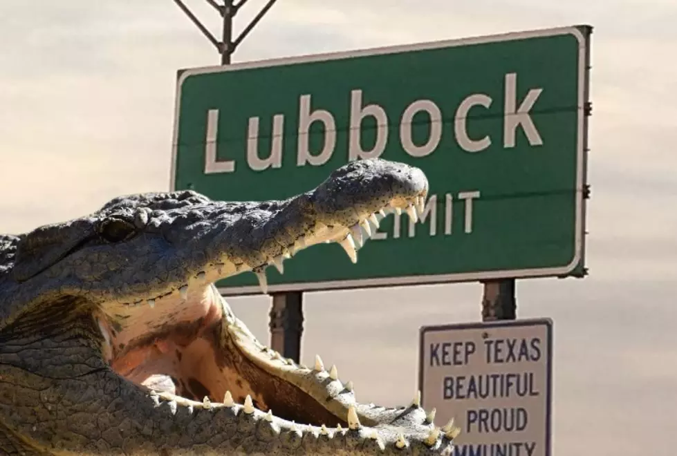 Is Lubbock Prepared To Deal With An Alligator Problem?