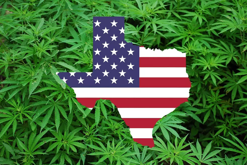 Texas Legislators Do Not Care That You Want Legal Marijuana