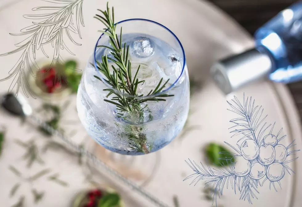 Botanical & Bright: A Look At The Best Gin Brands In Texas