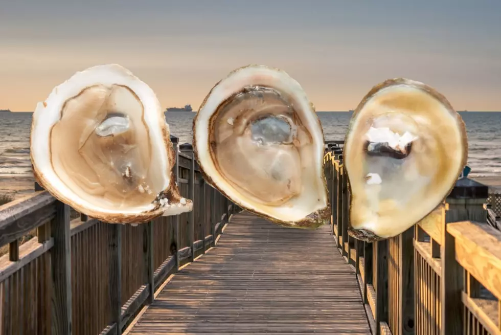 Recent Texas Oyster Disaster Will Cost More Than Just Millions