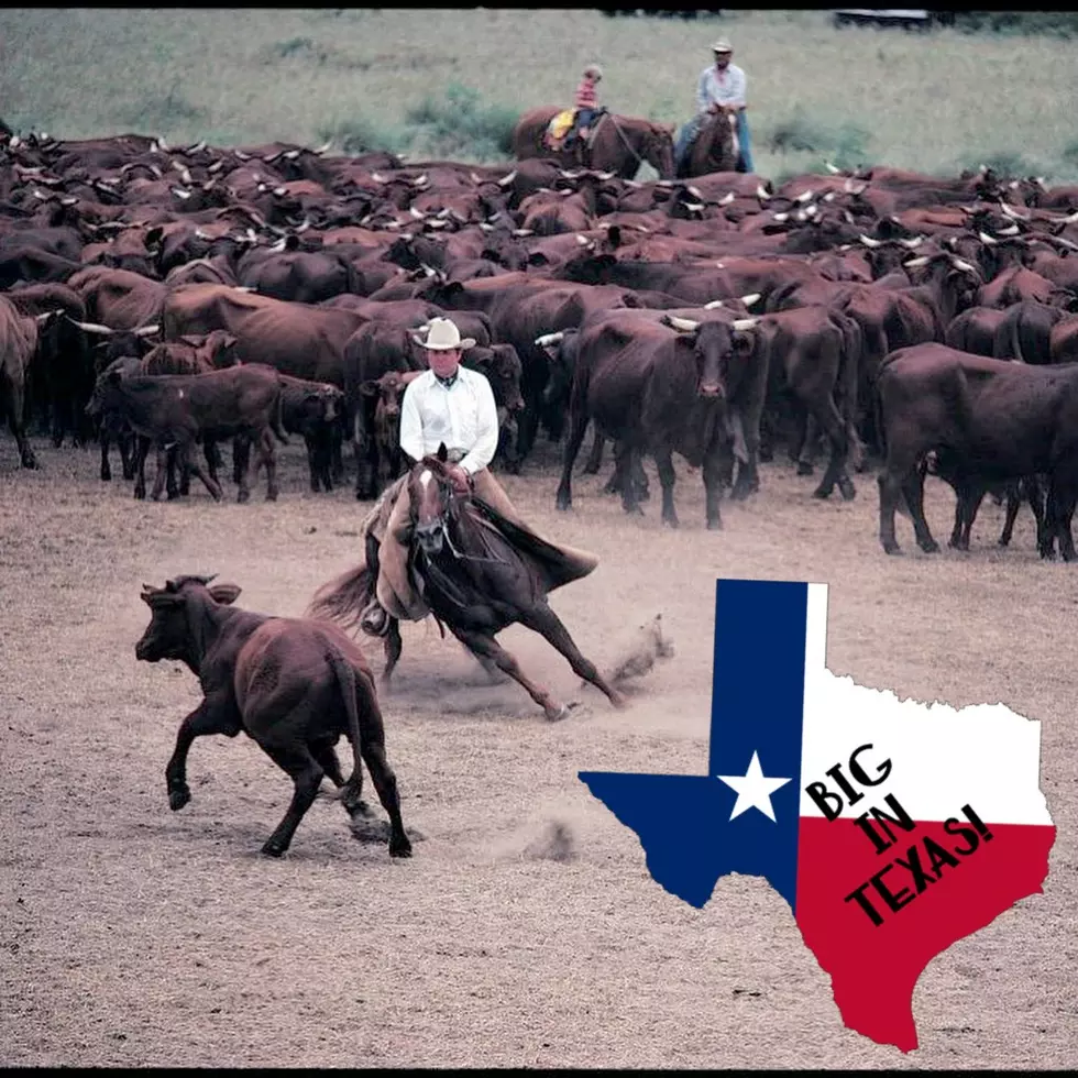 The Biggest Ranch In Texas Is Absolutely Insane In Size