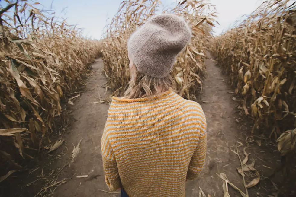 At’l Do Farms 2026 Corn Maze: A Fall Tradition in Lubbock, Texas