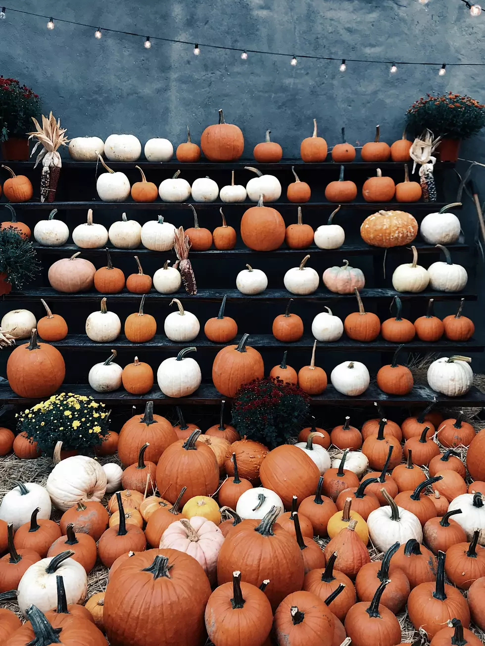 Your Guide To Lubbock’s Halloween Events And Fall Fun In 2026
