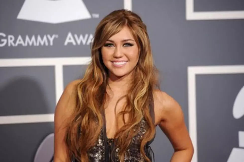 Red Carpet at the Grammy&#8217;s [Gallery]