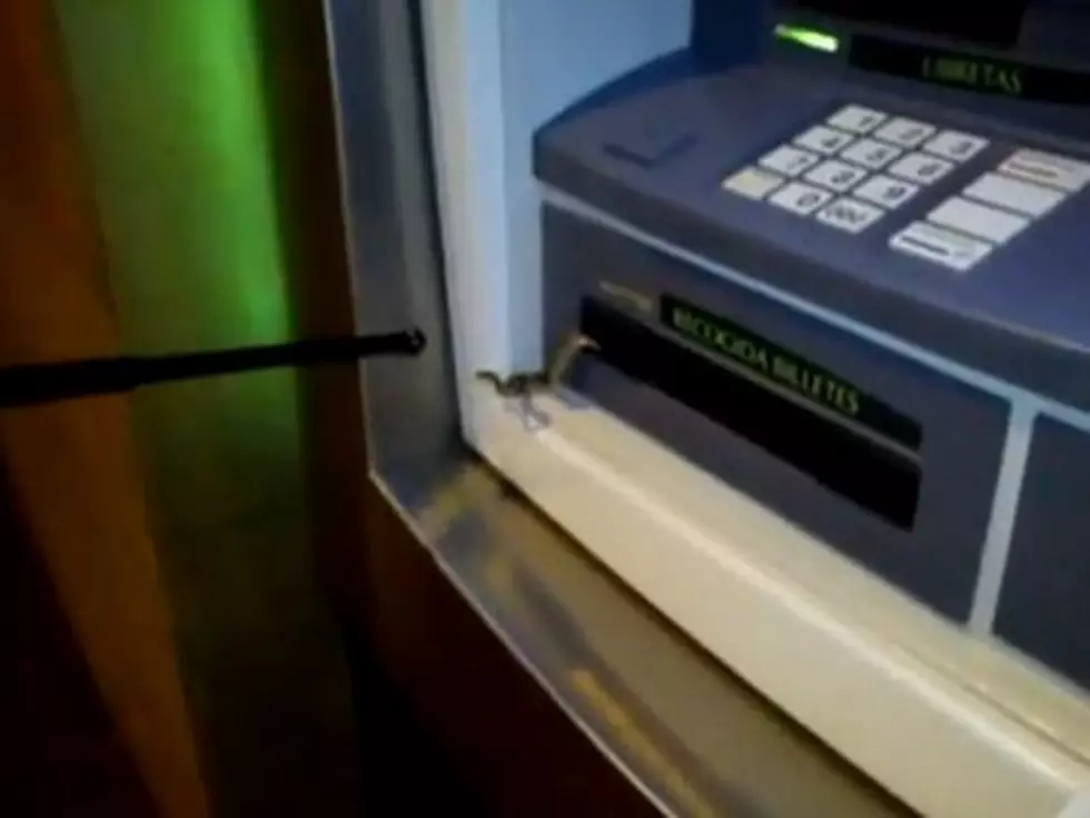 Snake in ATM Machine Is Scarier Than Hidden Bank Fees [VIDEO]