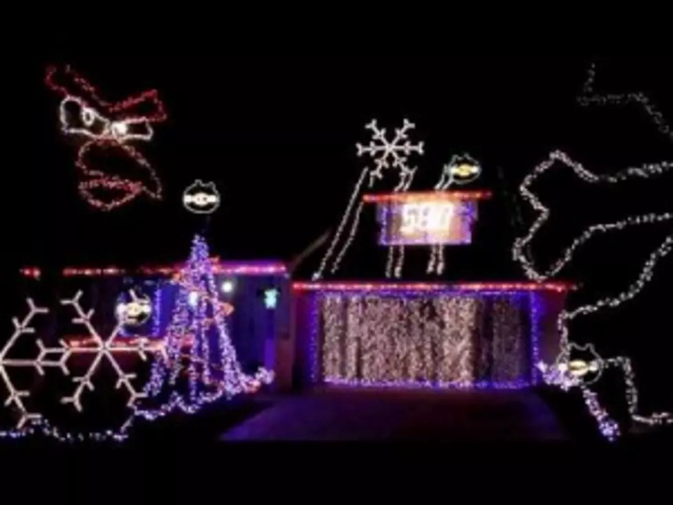 Angry Birds in Christmas Lights [VIDEO]