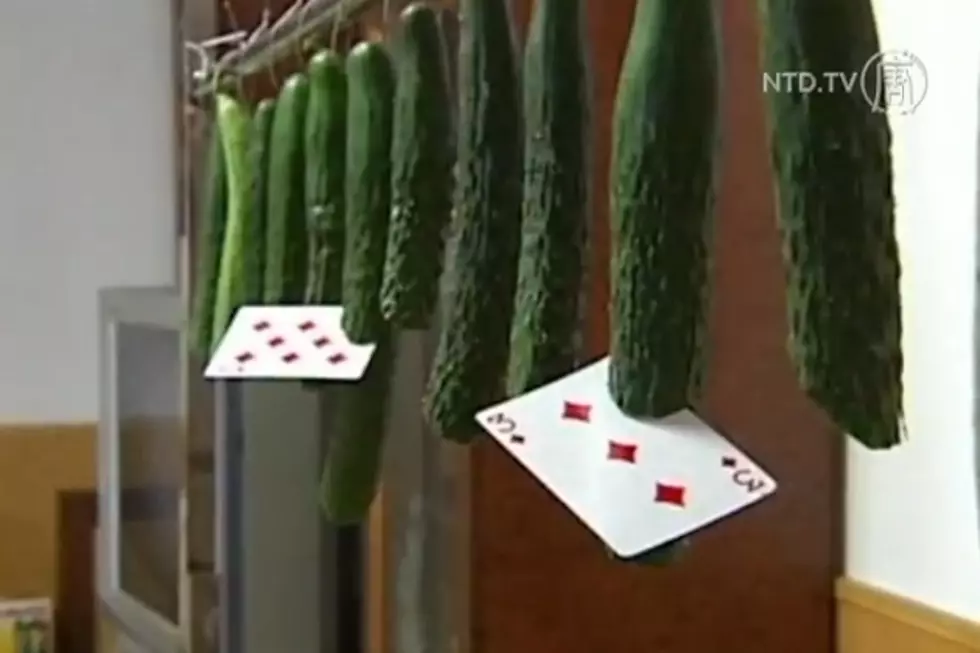 Chinese Card Thrower Wants to Break World Record for Cucumber Slicing