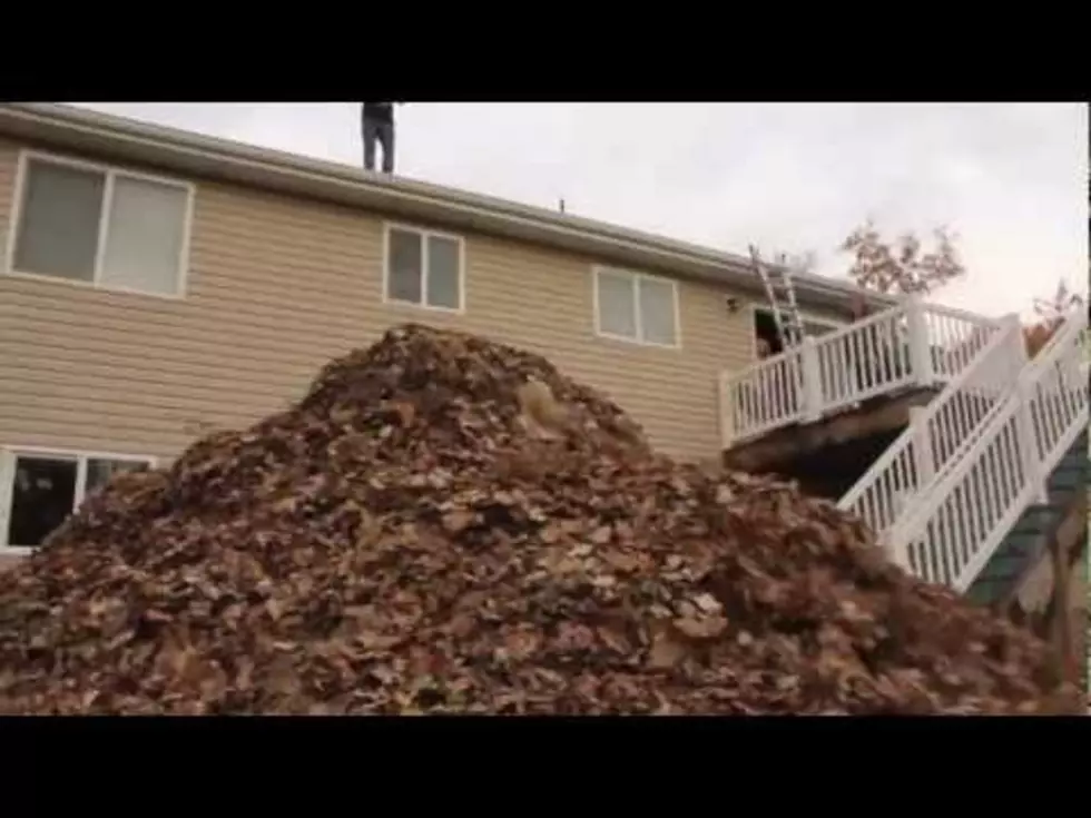 This Could Be the World’s Biggest Pile of Leaves [VIDEO]