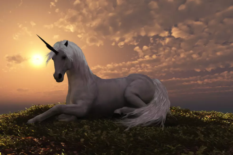 Every Little Girls Dream Come True: Unicorns Existed