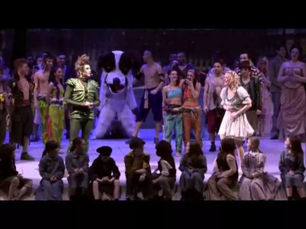 Awesome Marriage Proposal: Peter Pan Proposes to Wendy [VIDEO]