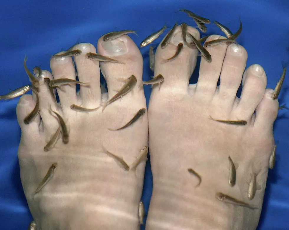 Woman Freaks Out Getting a Fish Pedicure [VIDEO]