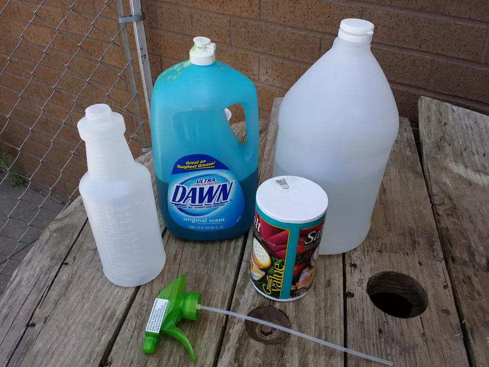 Life Hack Test: Weed KIller