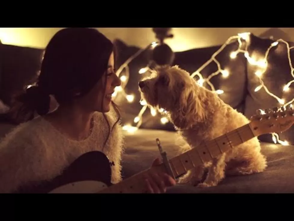 Artist Singing Christmas Time is Here to Her Dog is Amazing
