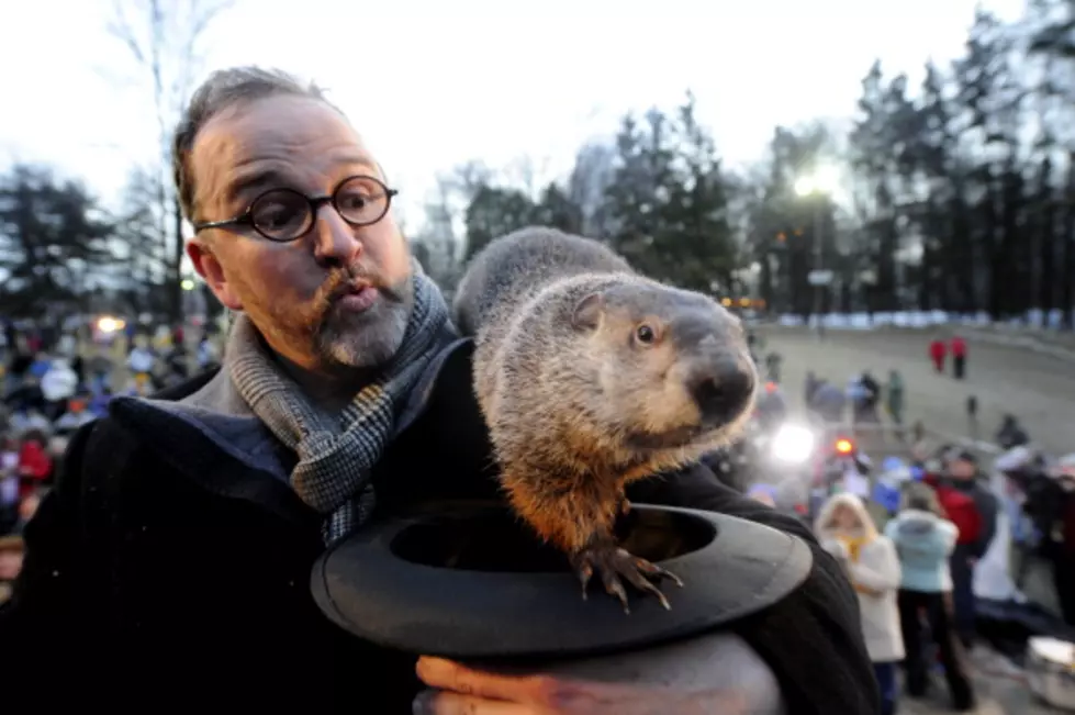 Watch Punxsutawney Phil See or Not See His Shadow on Groundhog Day