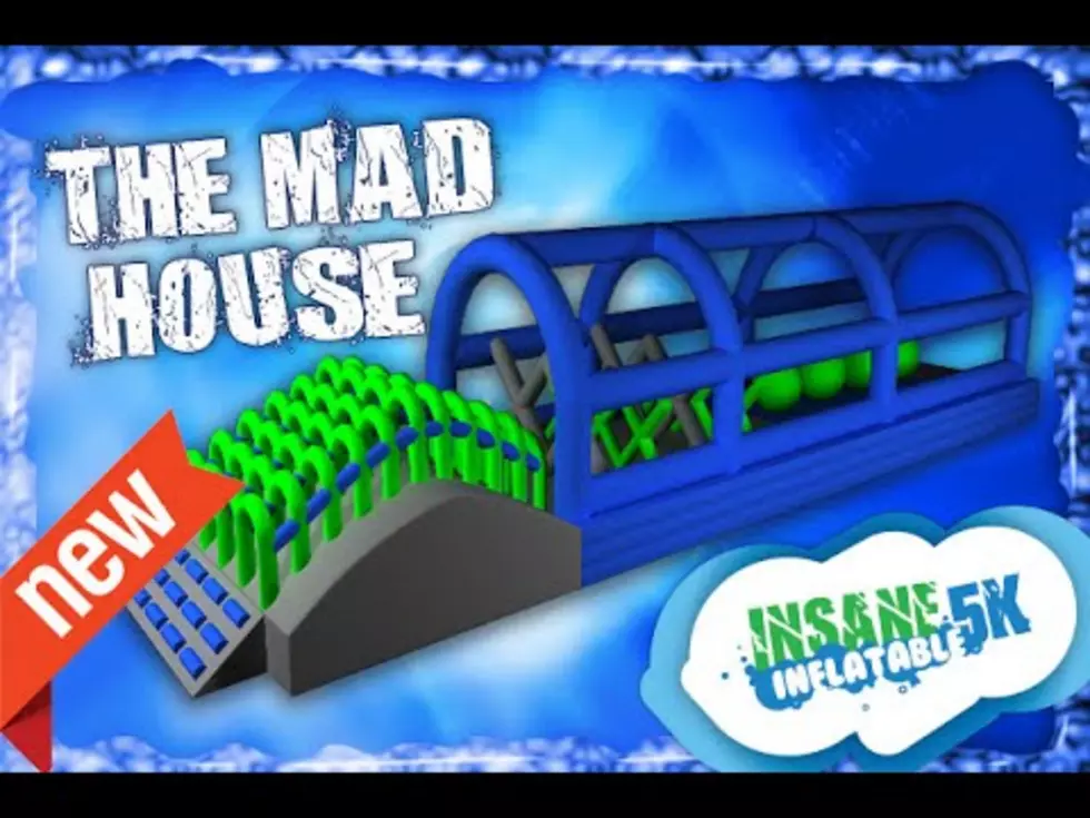 The Mad House