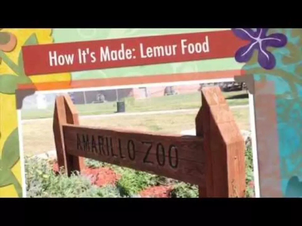 How It’s Made: Lemur Food