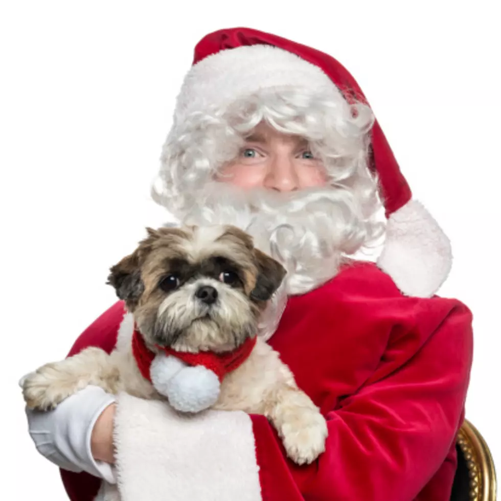 Your Dog or Cat Can Have Their Picture Taken With Santa Claus