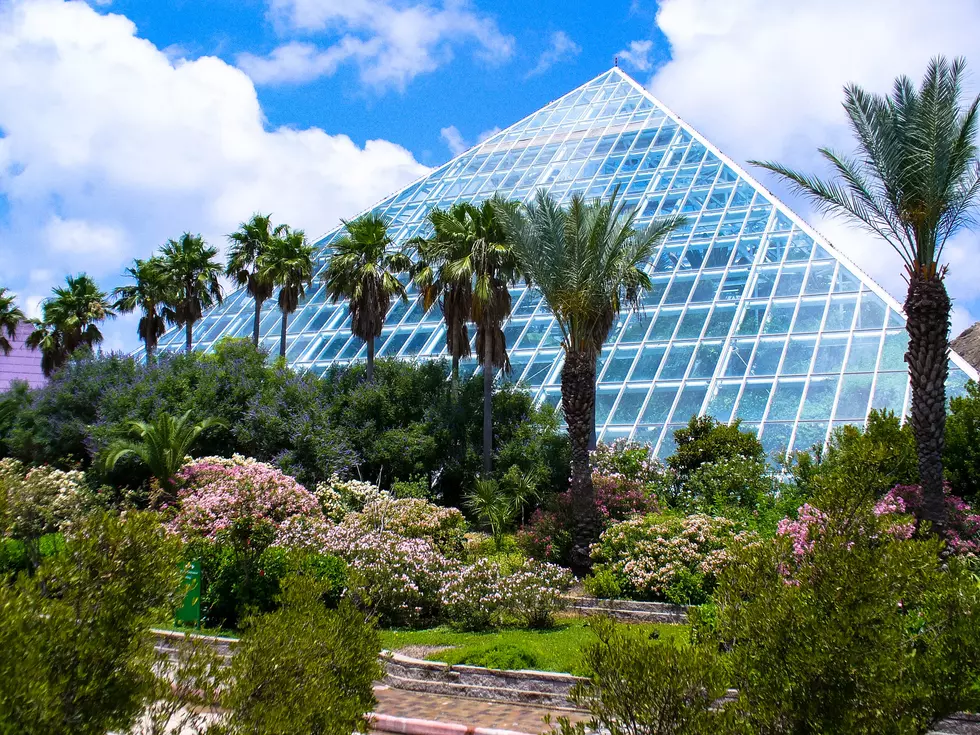 Moody Gardens is the Perfect Spring Getaway