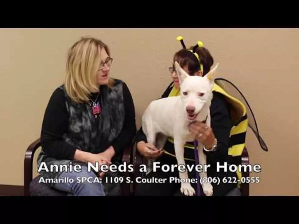 Annie is A Sweet Girl That Needs Your Love