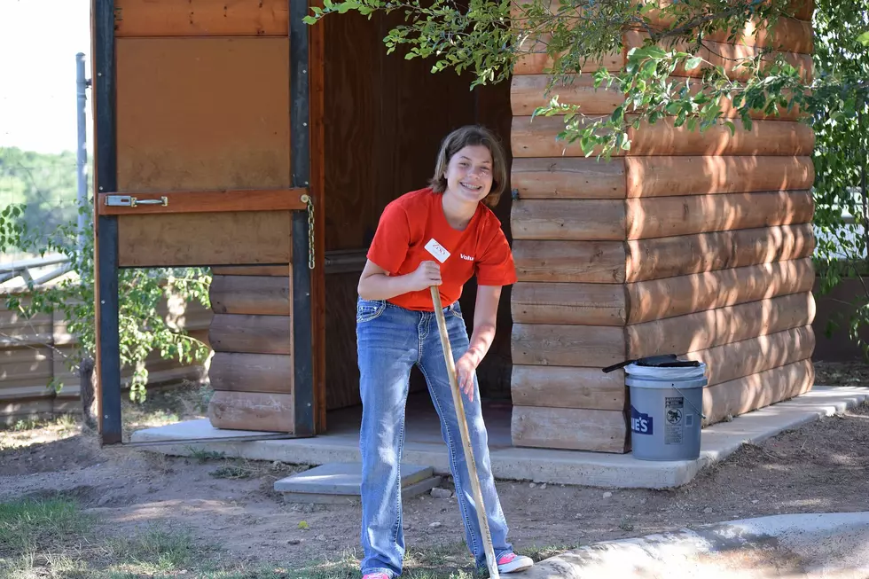 The Amarillo Zoo Needs You for Their Zoo Crew