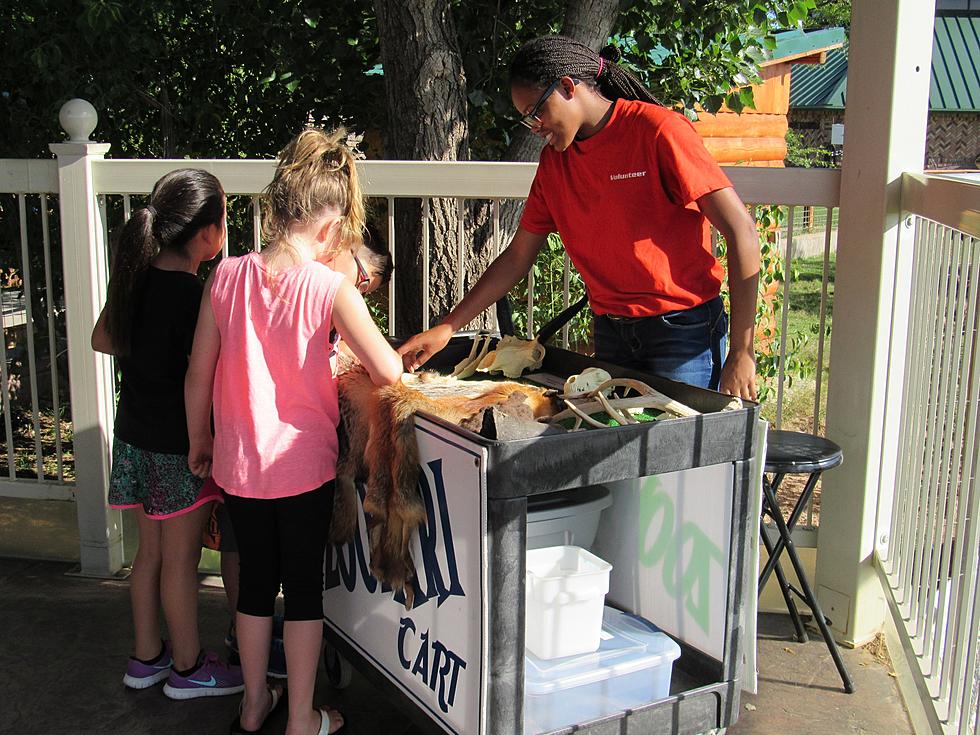 Sign Up Now for Fall Volunteer Training for the Zoo Crew