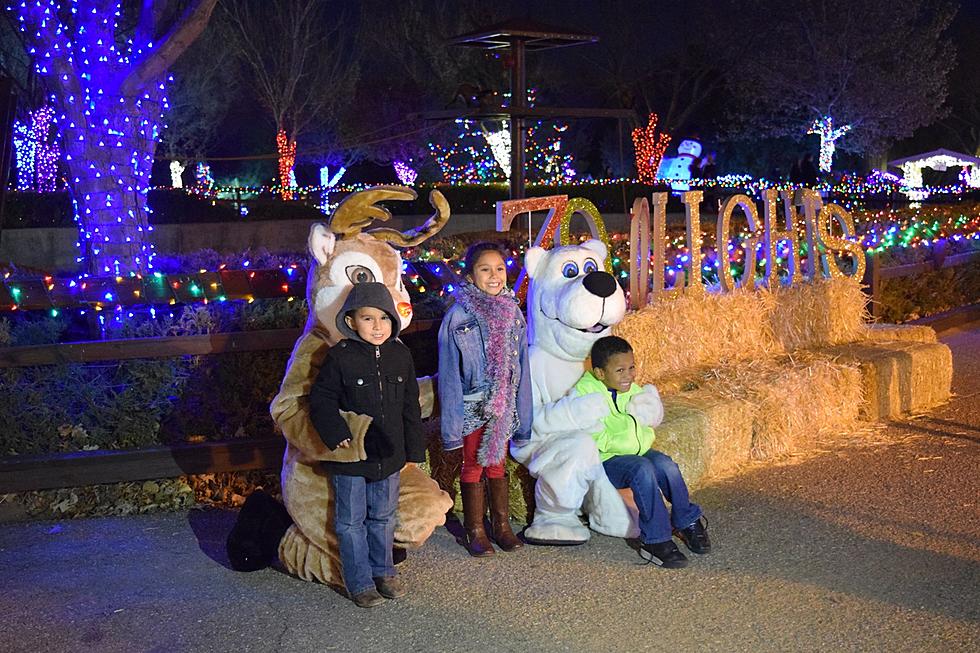 The Amarillo Zoo Celebrates the Holidays with ZOOLights
