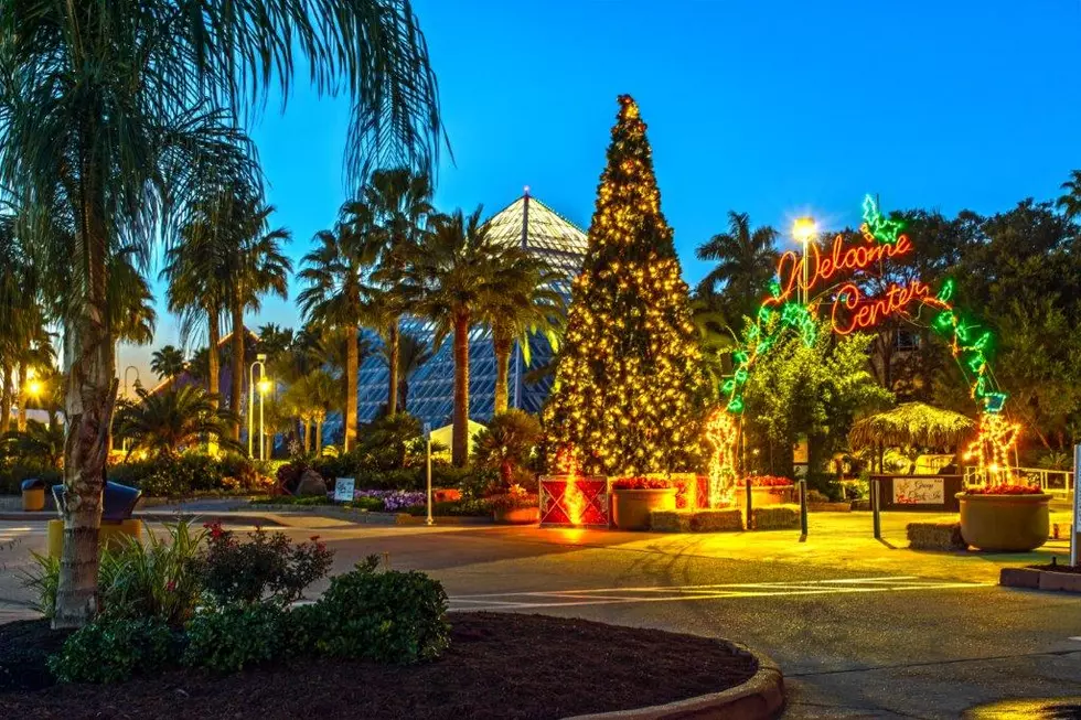 The Holidays Are Taking Over Moody Gardens And You Can Join In