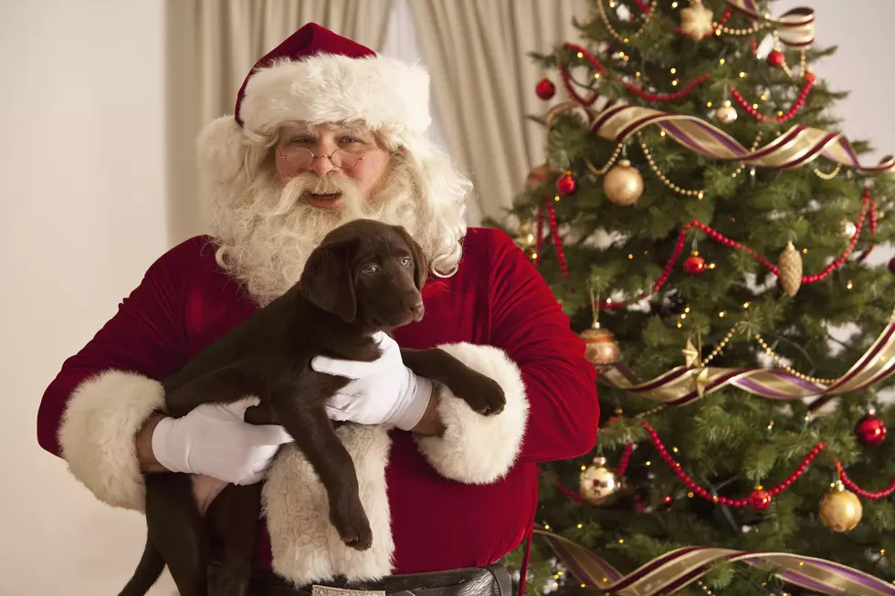 The Amarillo SPCA Offers Pet Pictures with Santa