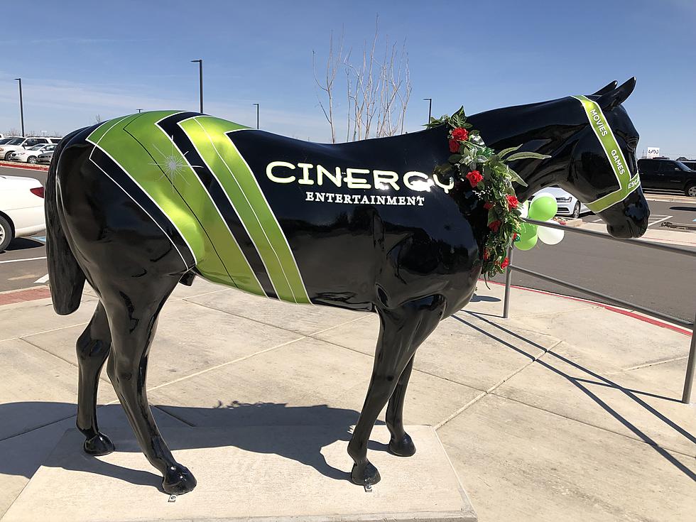 Cinergy in Amarillo Gets a Horse and Gives it a Name