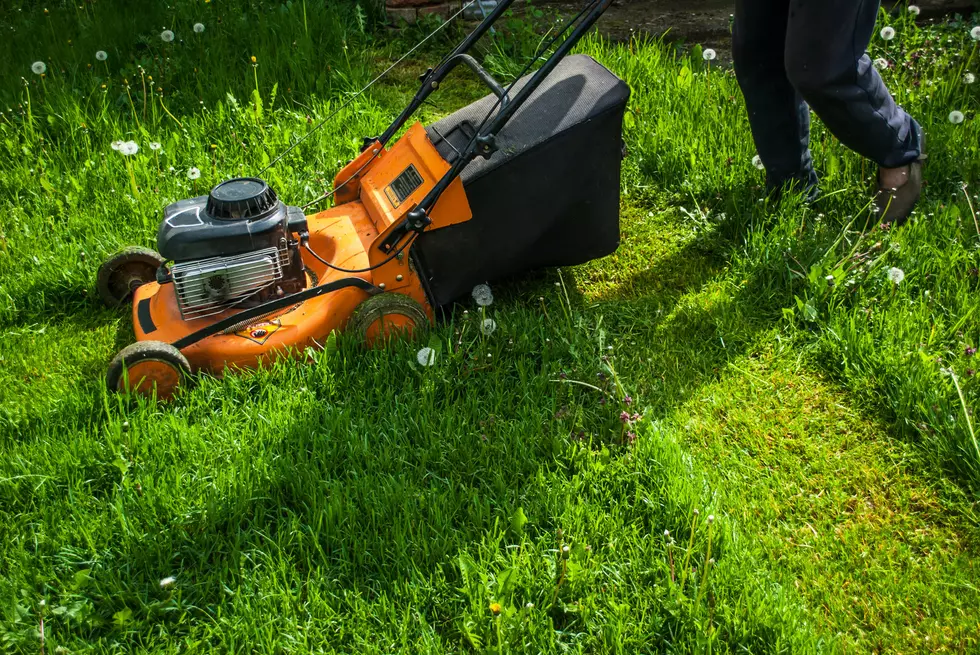 An Open Letter To Those That Need To Mow. Now!