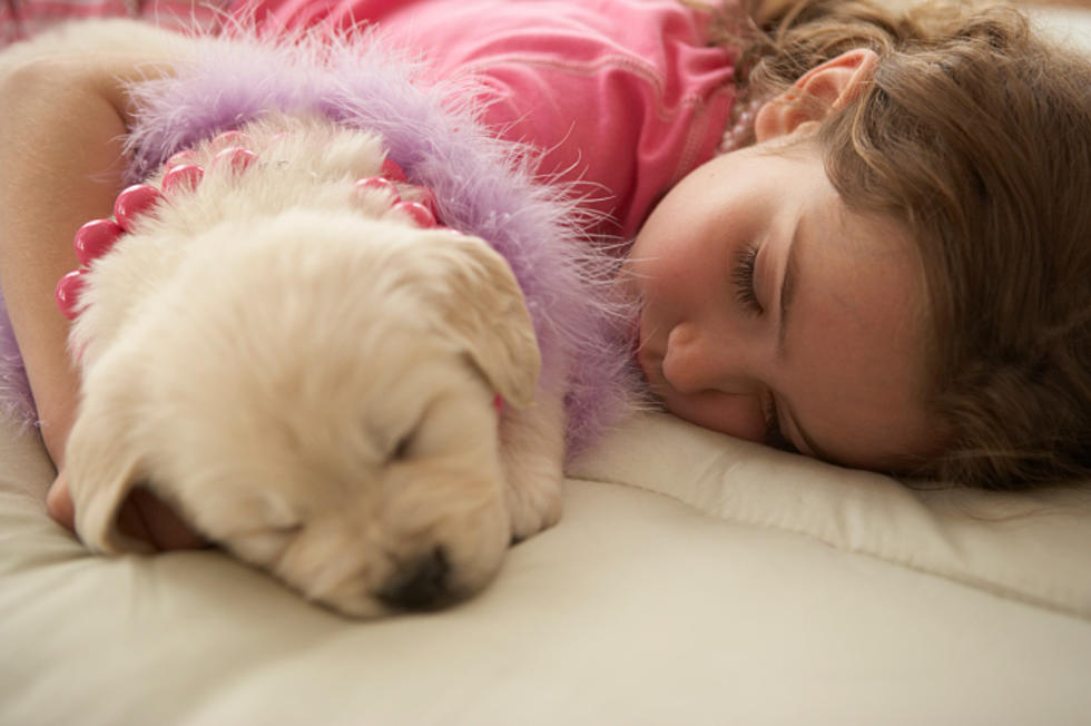 806 Health: It’s Good For Your Dog To Sleep With You