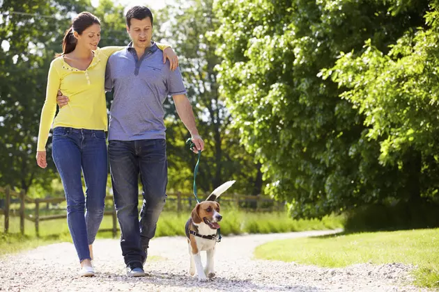806 Health: The Correct Way To Walk Your Dog