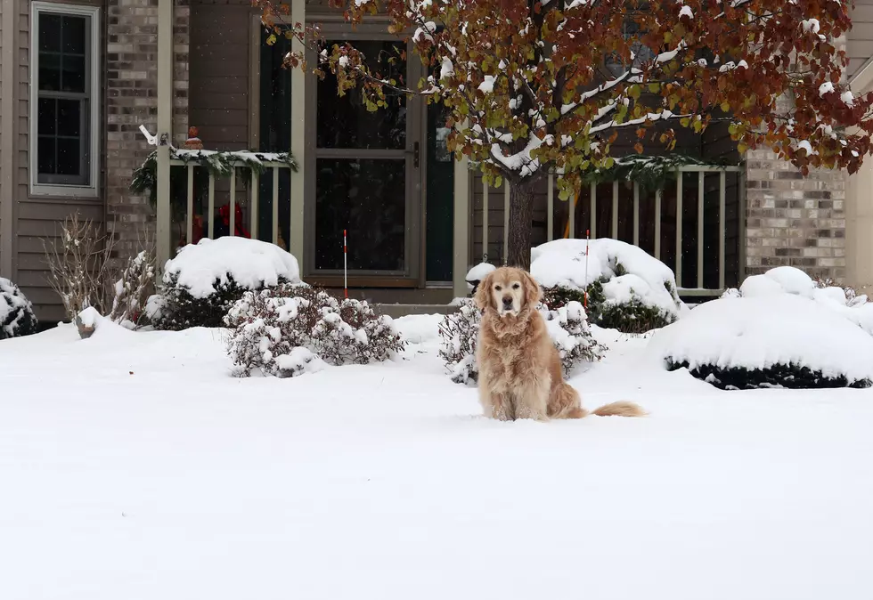 More Snow Than Usual For Amarillo This Season