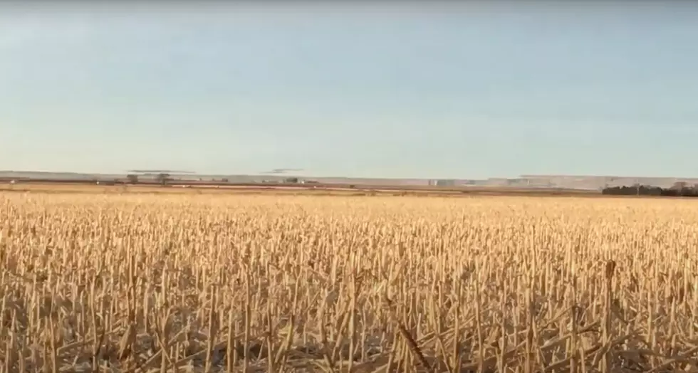 Have You Ever Seen Skyscrapers On the Texas Panhandle Horizon?